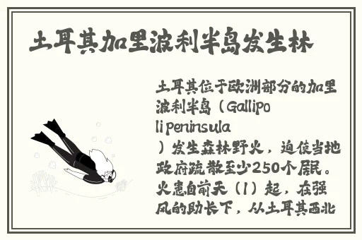 菠萝菠萝蜜在线视频观看高清播放